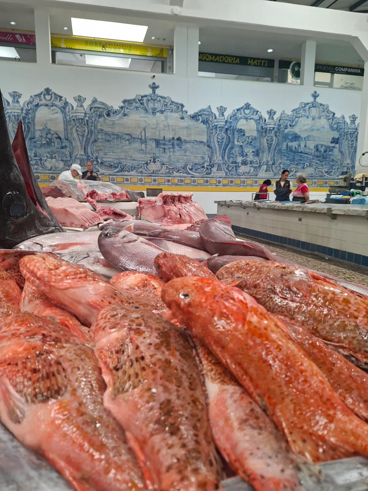 Fresh scorpionfish on a fish stall in front of blue azulejo panels